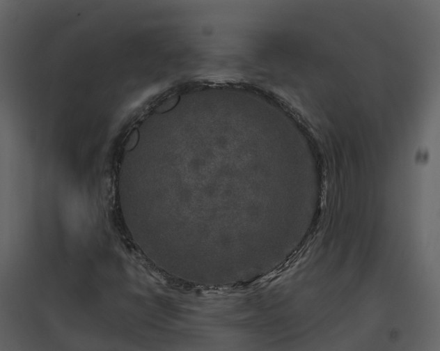 X0000096711398200802121215