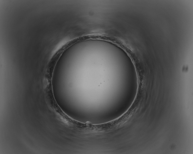 X0000096711400200802121215