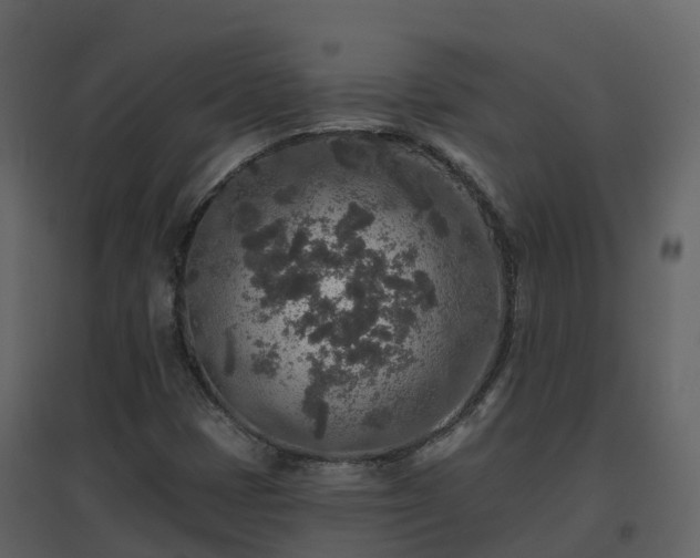 X0000096711401200802121215