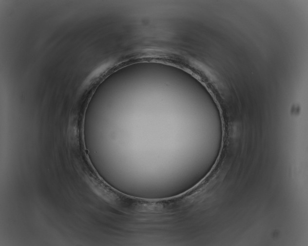 X0000096711403200802121215