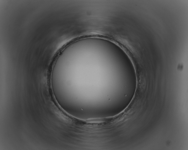 X0000096711404200802121215