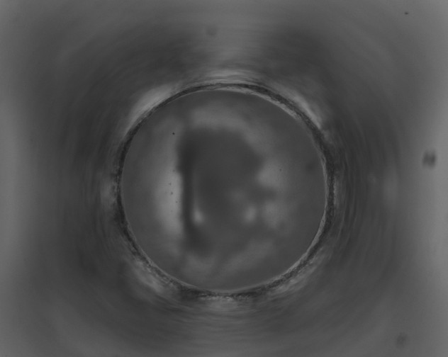 X0000096711405200802121215