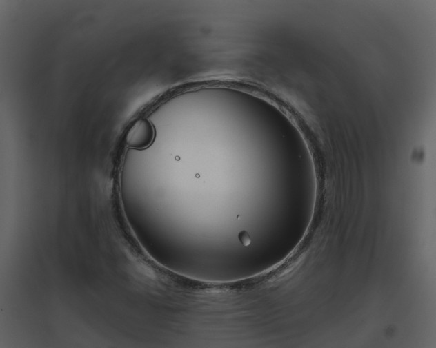 X0000096711406200802121215