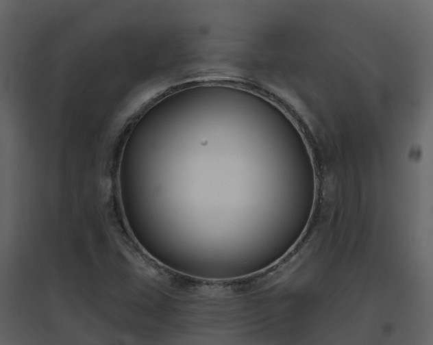 X0000096711407200802121215