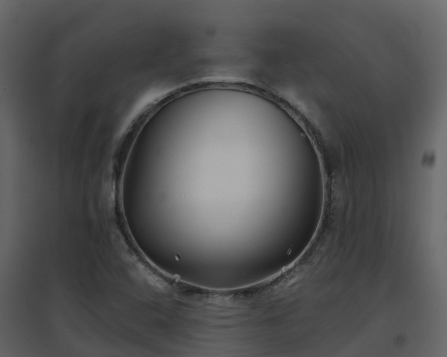 X0000096711408200802121215