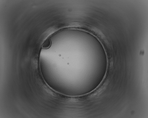 X0000096711409200802121215