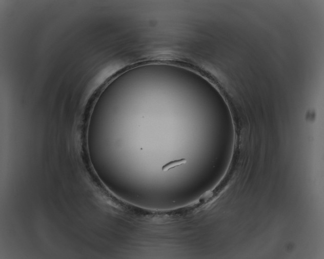 X0000096711410200802121215