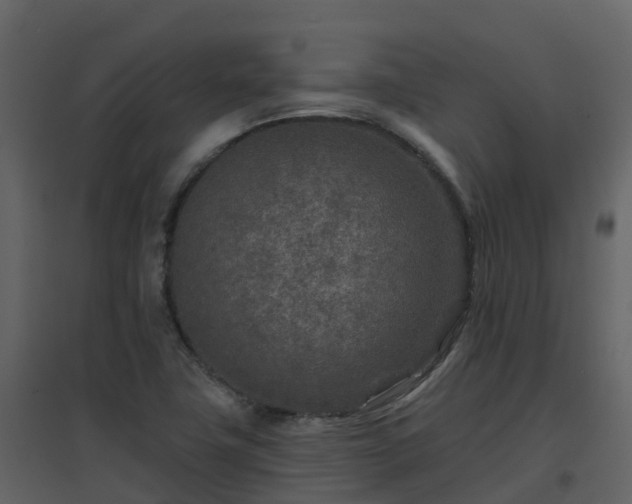 X0000096711411200802121215