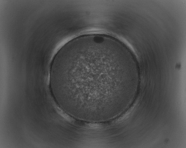 X0000096711413200802121215