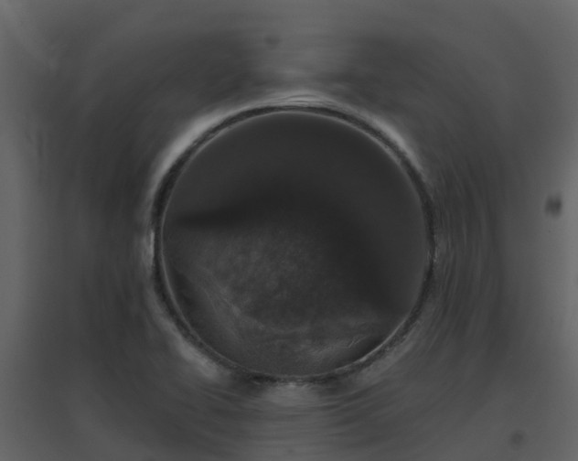 X0000096711414200802121215