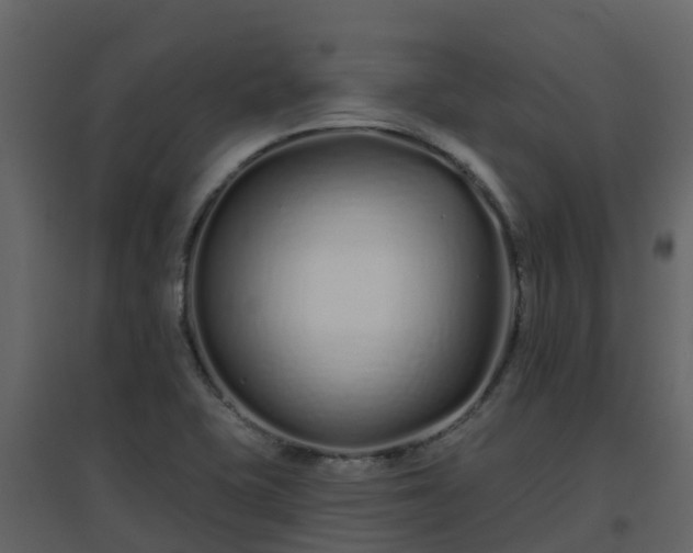 X0000096711415200802121215