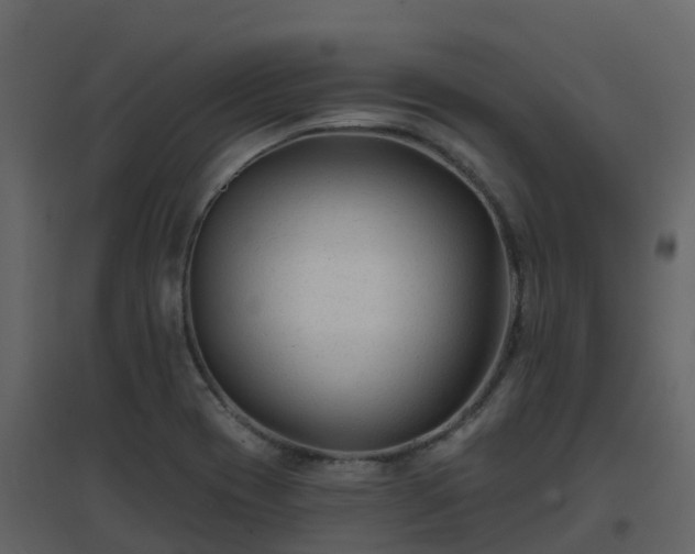 X0000096711417200802121215