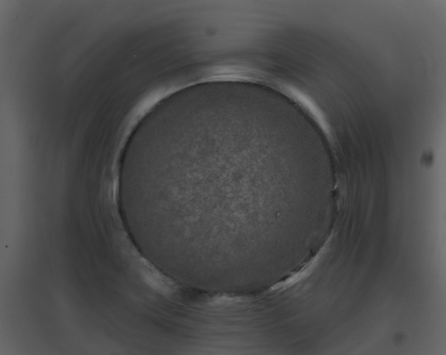 X0000096711419200802121215