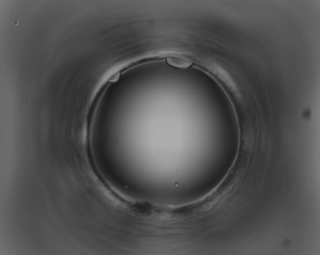 X0000096711420200802121215