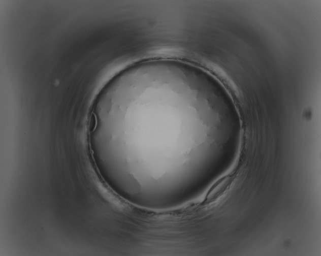 X0000096711421200802121215