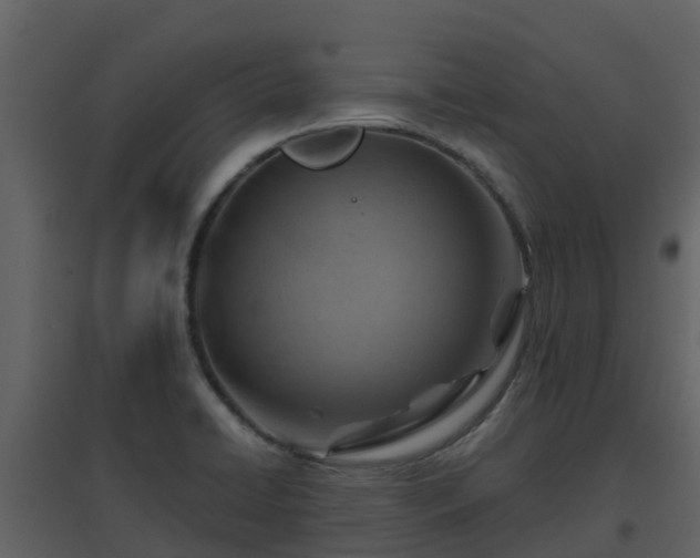 X0000096711422200802121215