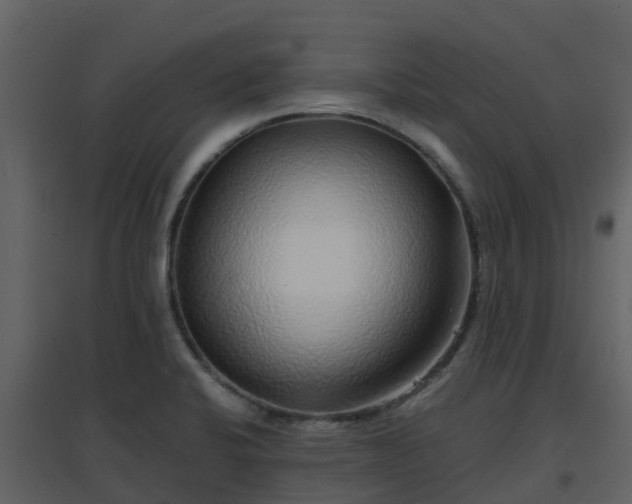 X0000096711424200802121215