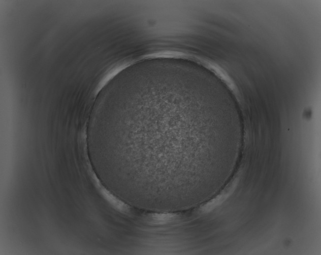 X0000096711425200802121215