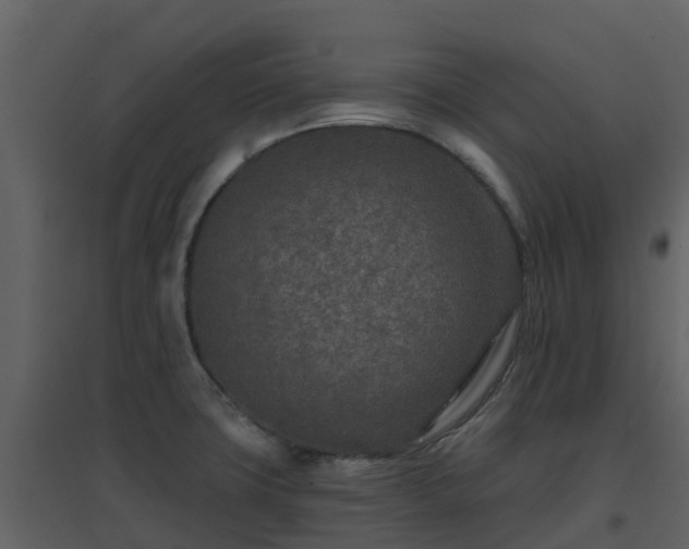 X0000096711427200802121215