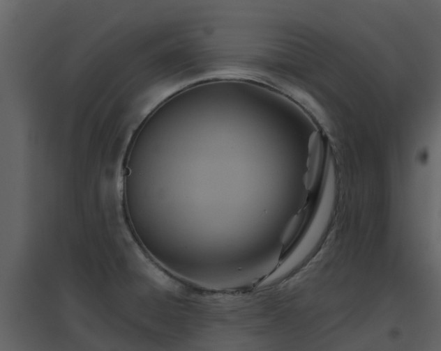 X0000096711428200802121215