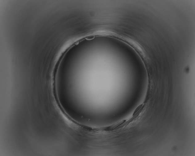 X0000096711430200802121215