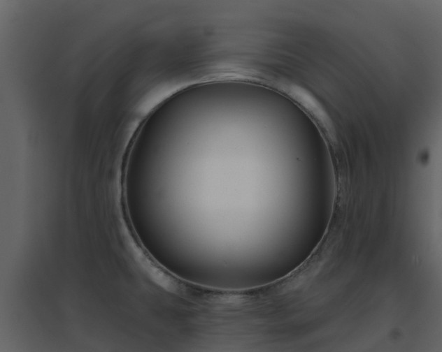 X0000096711431200802121215