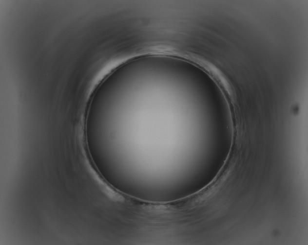 X0000096711432200802121215