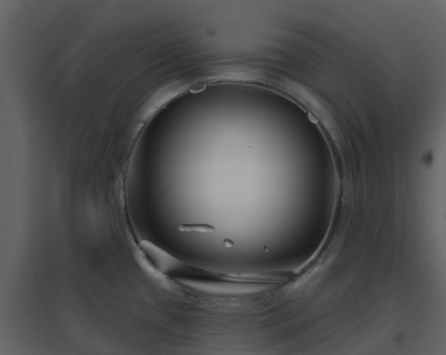 X0000096711433200802121215