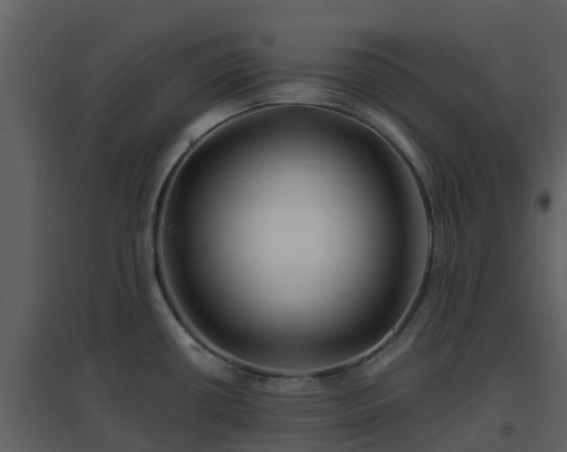 X0000096711434200802121215