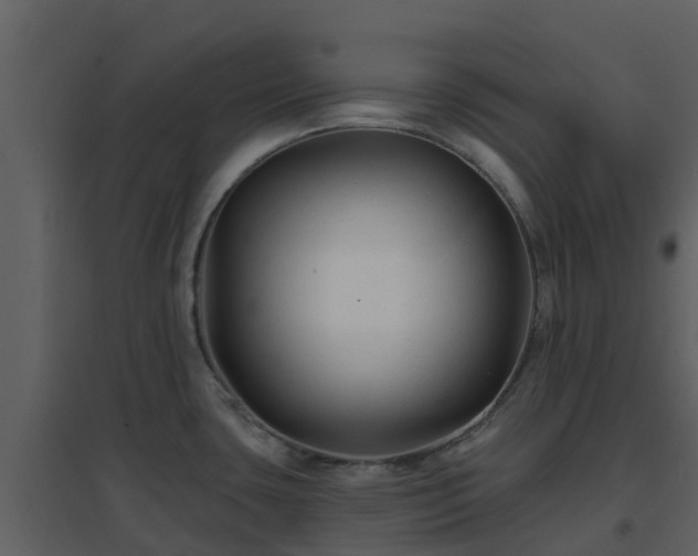 X0000096711435200802121215