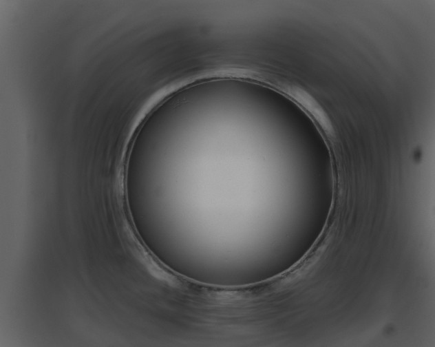 X0000096711436200802121215