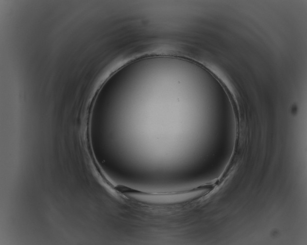 X0000096711437200802121215