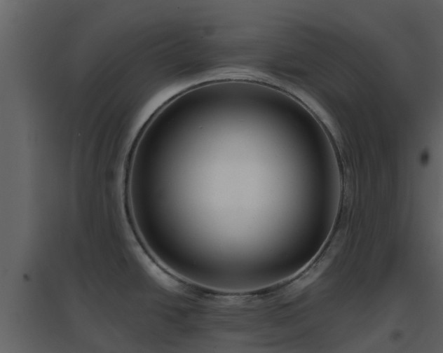 X0000096711438200802121215