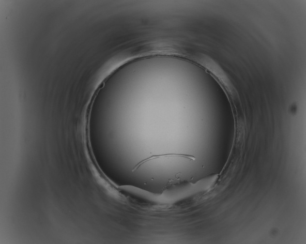 X0000096711439200802121215