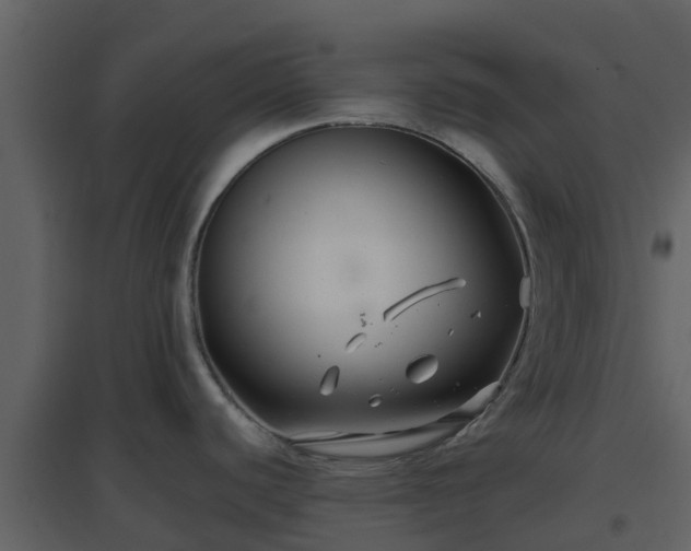 X0000096711440200802121215