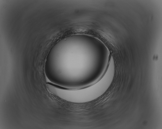 X0000096711441200802121214