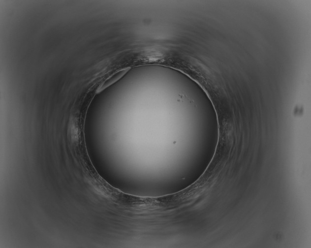 X0000096711442200802121214