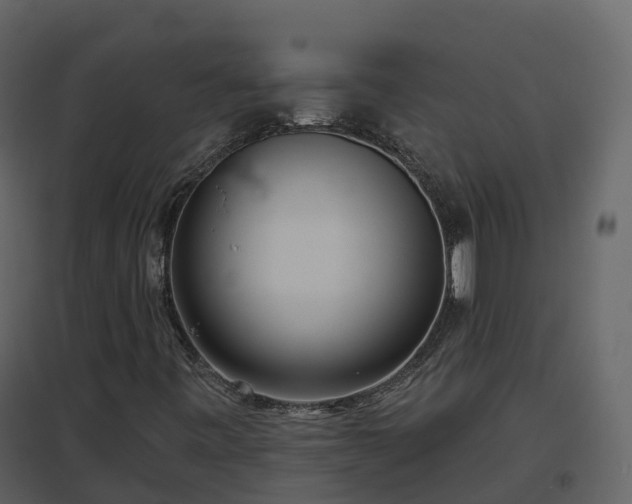 X0000096711443200802121214