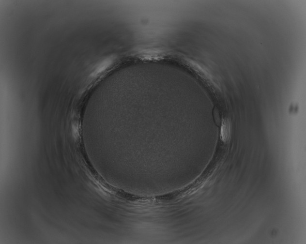 X0000096711444200802121214