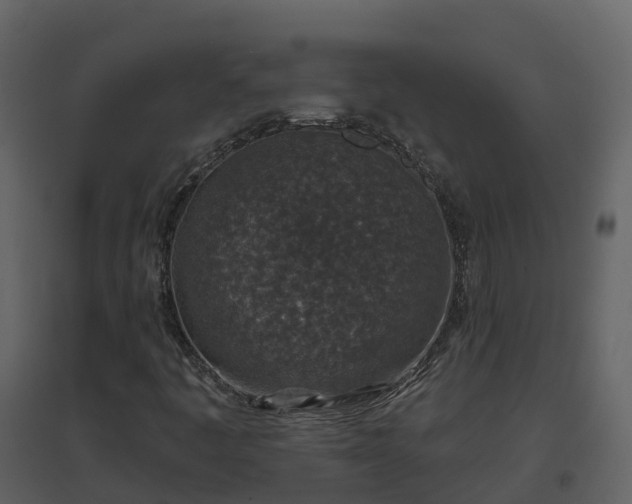 X0000096711445200802121214