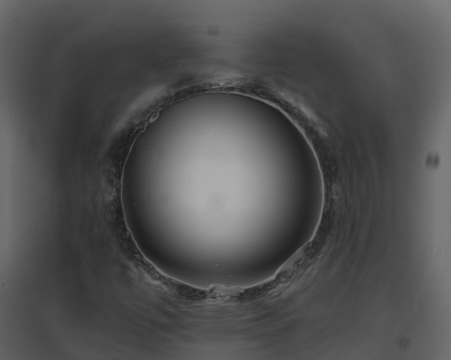 X0000096711447200802121214