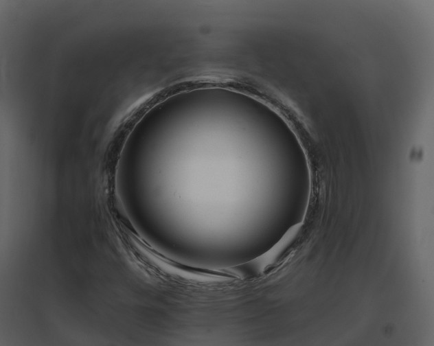 X0000096711448200802121214