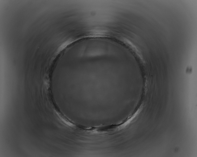 X0000096711449200802121214