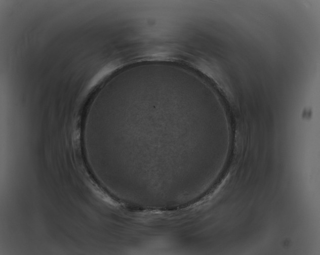 X0000096711450200802121214