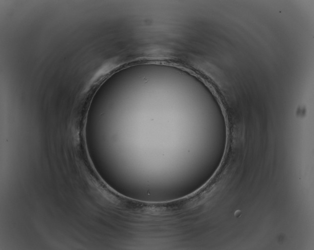 X0000096711451200802121214