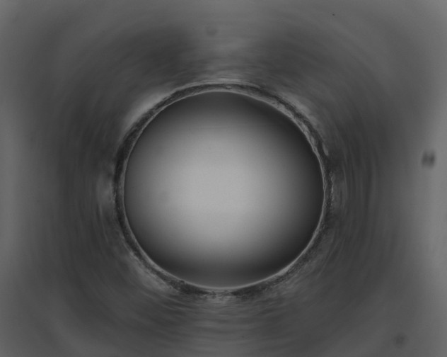 X0000096711452200802121214