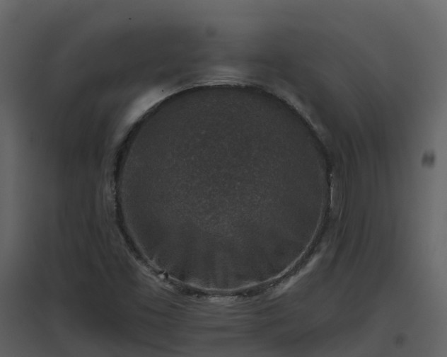 X0000096711453200802121214