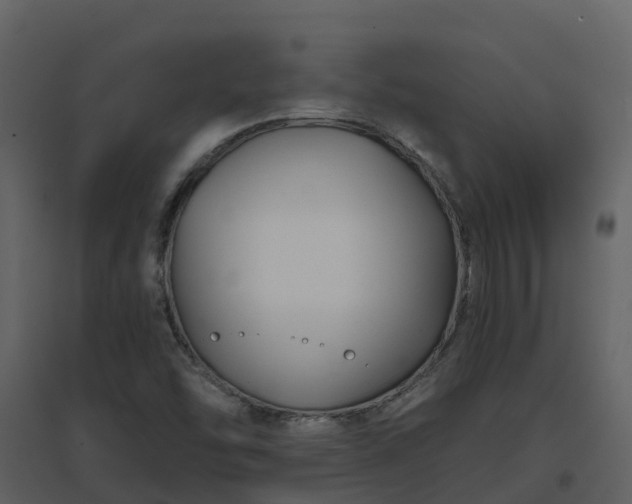 X0000096711454200802121214