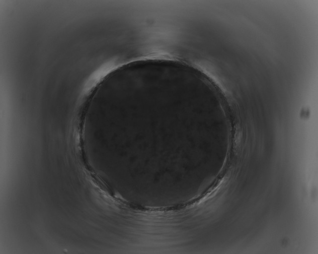 X0000096711455200802121214