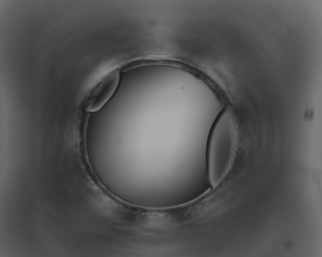 X0000096711456200802121214